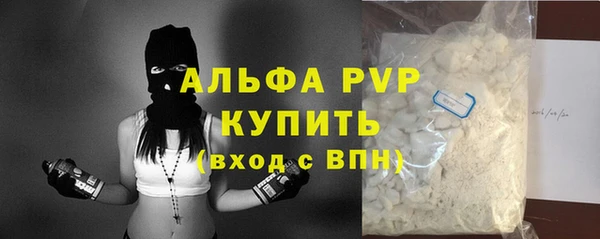 прущие грибы Ростов