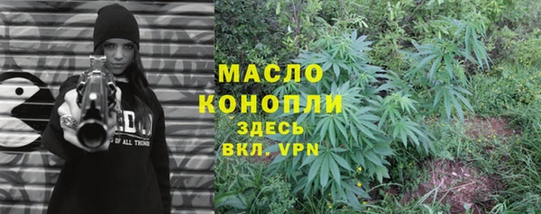 молекула духа Переславль-Залесский