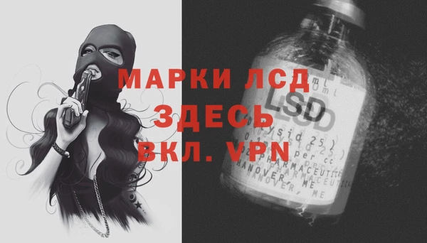 бошки Пересвет