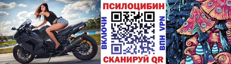 ОМГ ОМГ вход  Сланцы  Галлюциногенные грибы GOLDEN TEACHER  купить наркотики сайты 