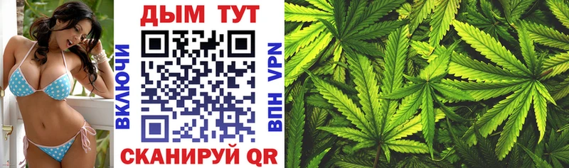 Канабис White Widow  цены наркотик  Сланцы 